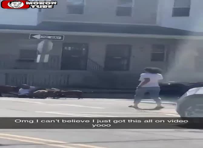 Video :A police officer neutralizes a bunch of pit dogs who attack a guy on the street (Warning - disturbing)
